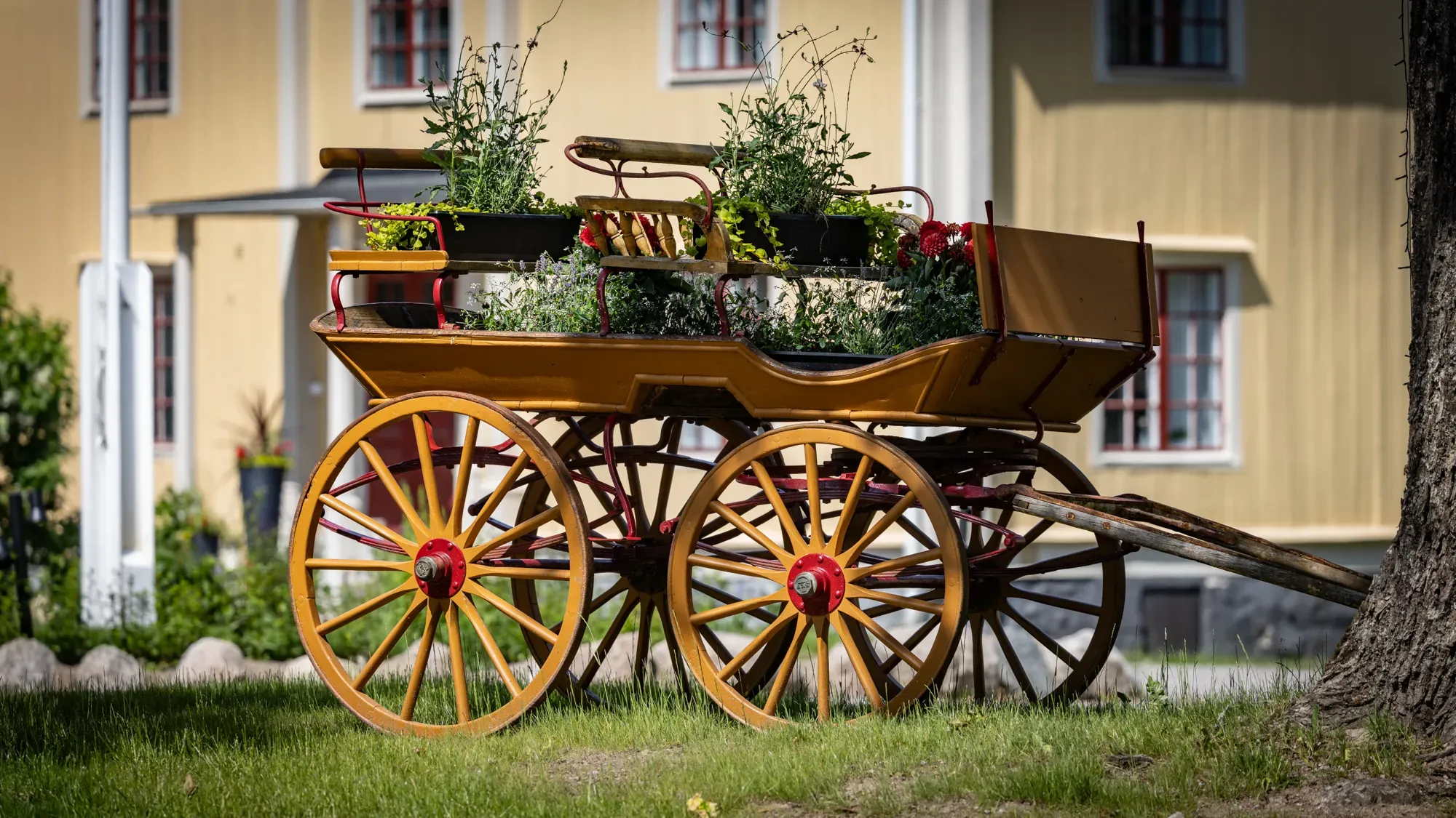 Historisk vagn med blommor framför herrgården.