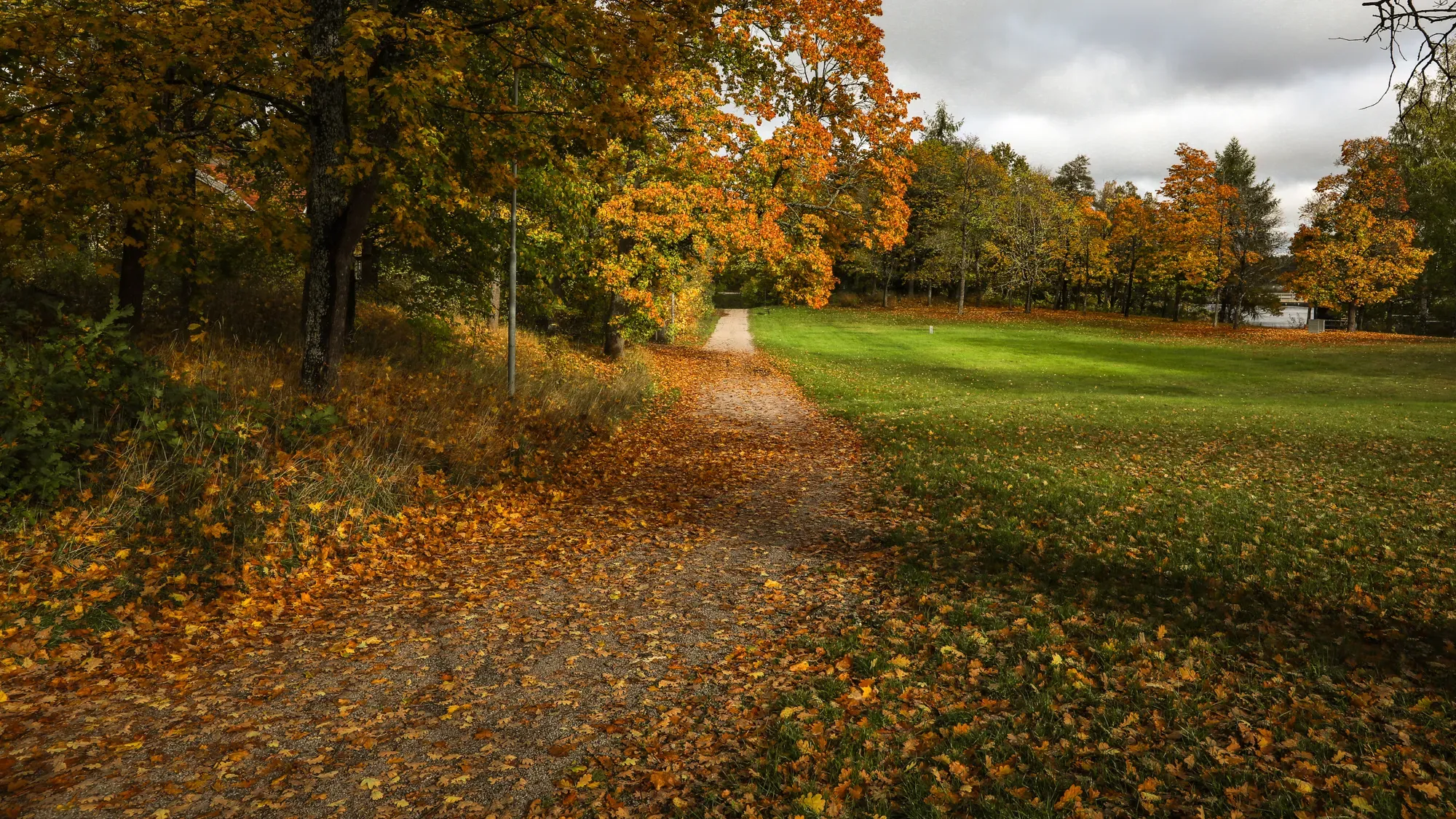 Lövklädd vandringsstig genom Söderfors en höstdag.