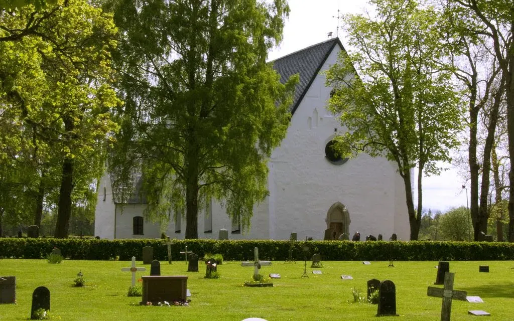 Tierps vita medeltidskyrka omgiven av sommargrönska.